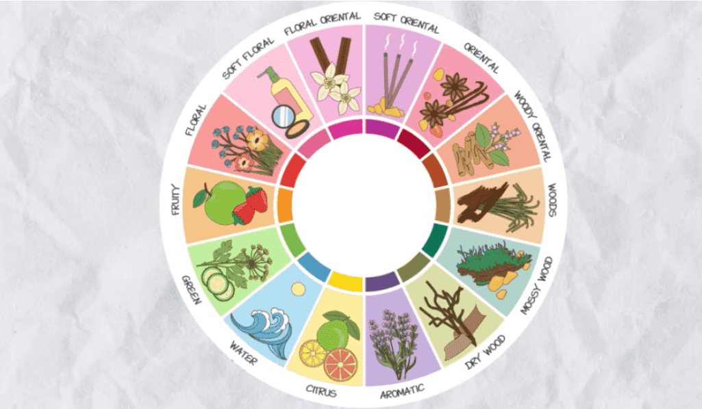 En iyi erkek parfümleri - koku türleri̇